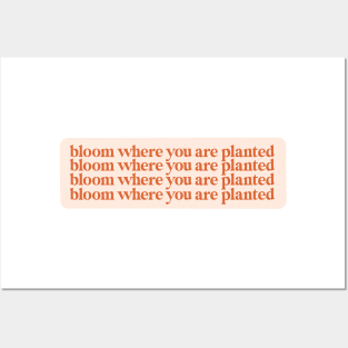 bloom where you are planted Posters and Art